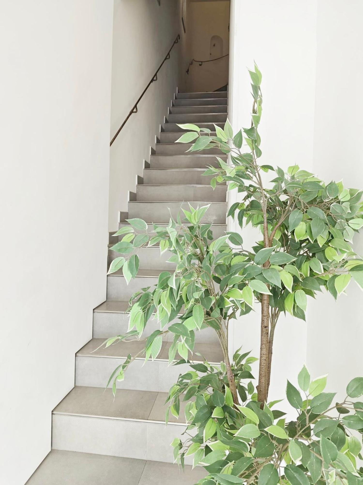 Cassis Loc - Chambre Meublee المظهر الخارجي الصورة